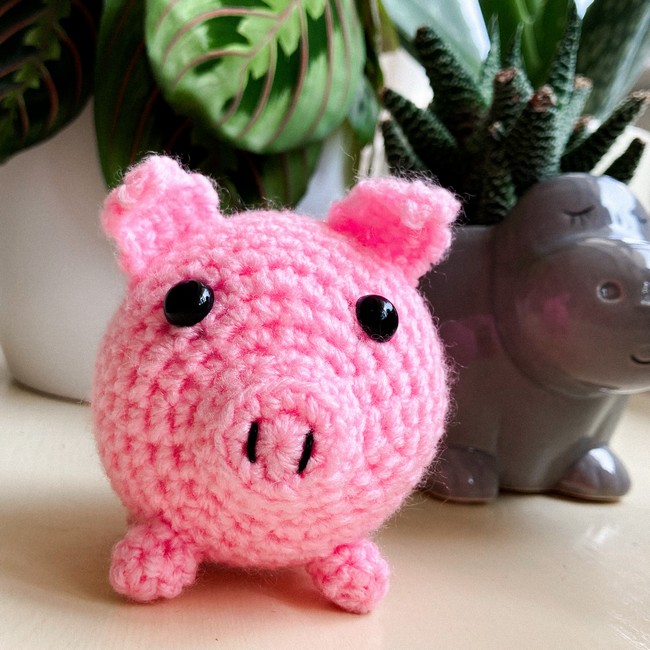 Mini Pig