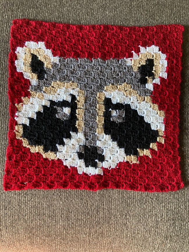 Racoon C2C Square