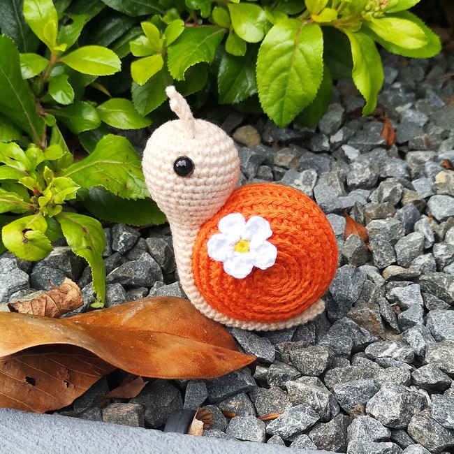 Spring Snail