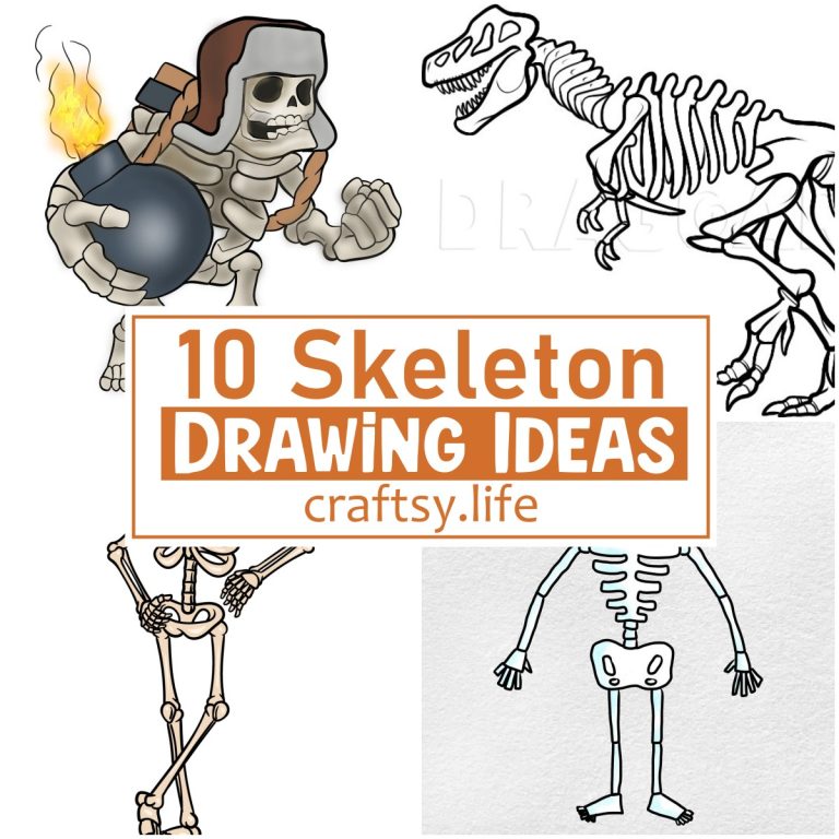 10 Skeleton Drawing Ideas For Bio Labs