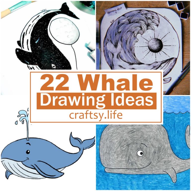 22 Whale Drawing Ideas For Marine Lovers