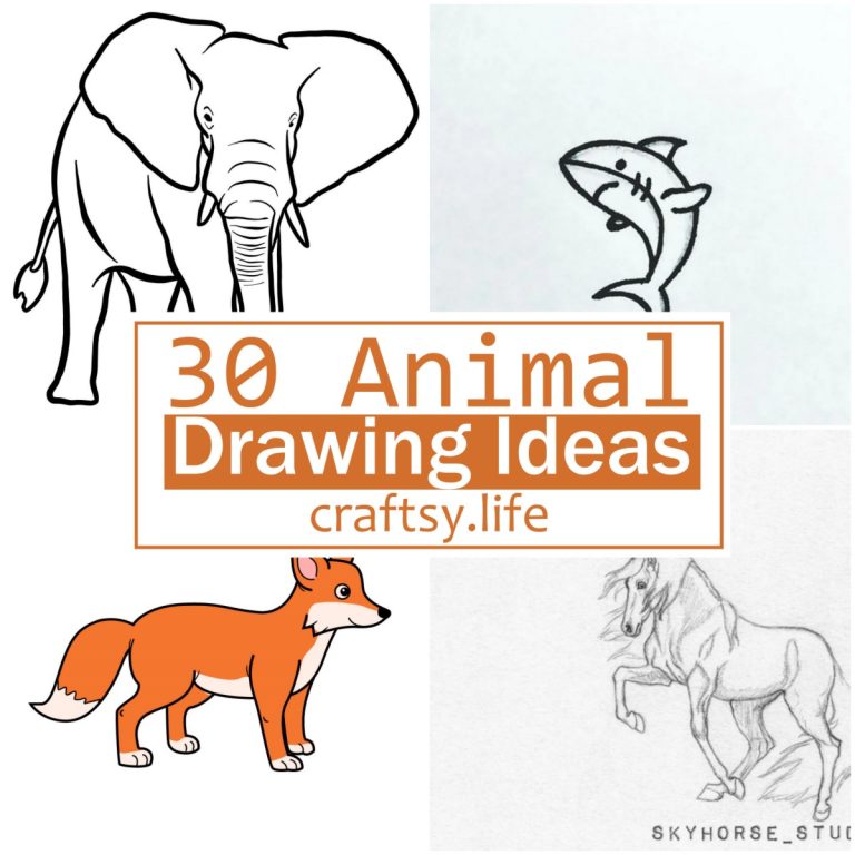 30 Animal Sketch Ideas For Beginners