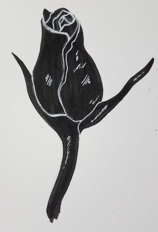 Draw A flower Bud