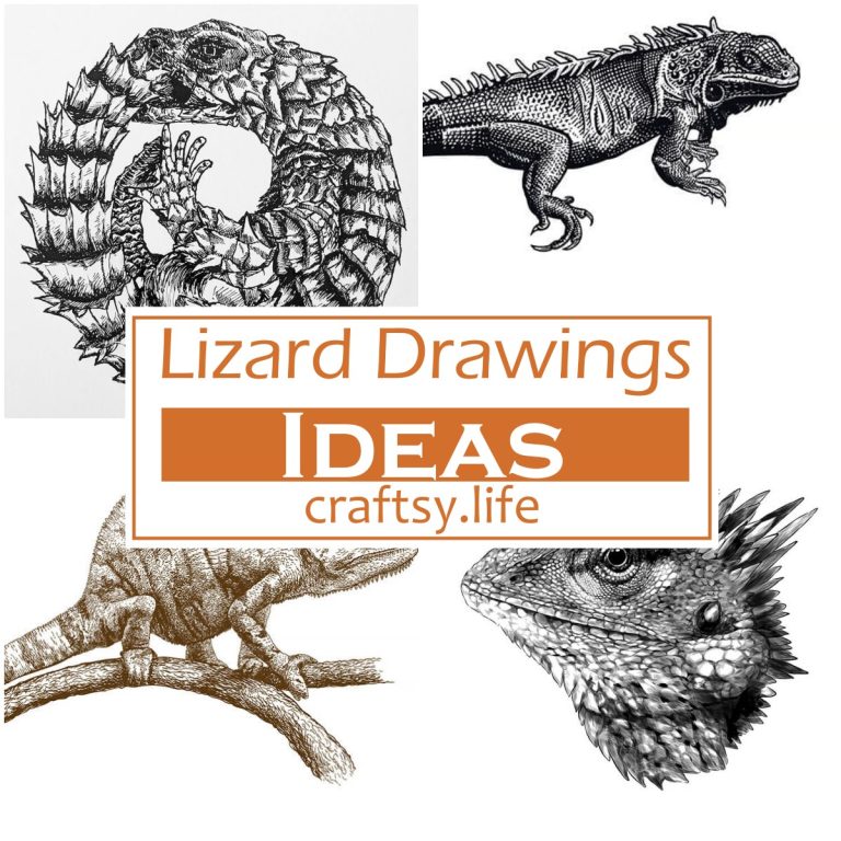 Lizard Drawings Ideas 1