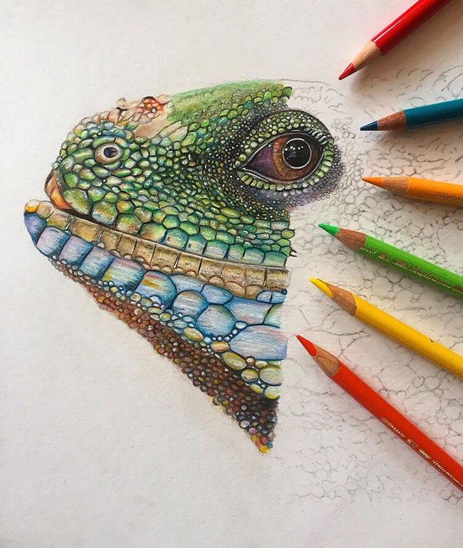 Lizard Made with Circles