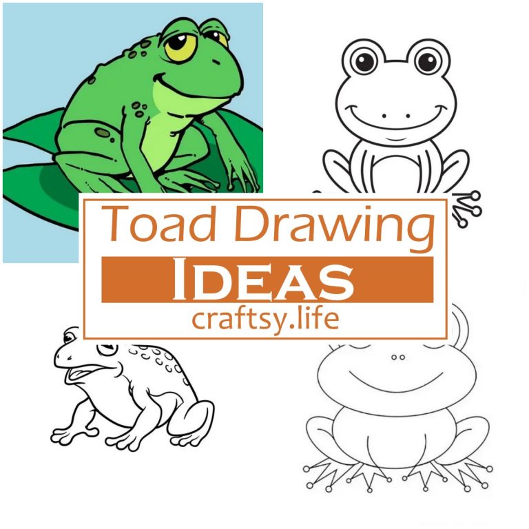 Toad Drawing Ideas 1