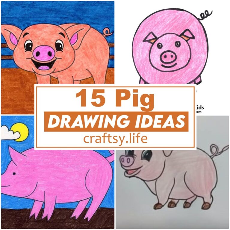 15 Pig Drawing Ideas