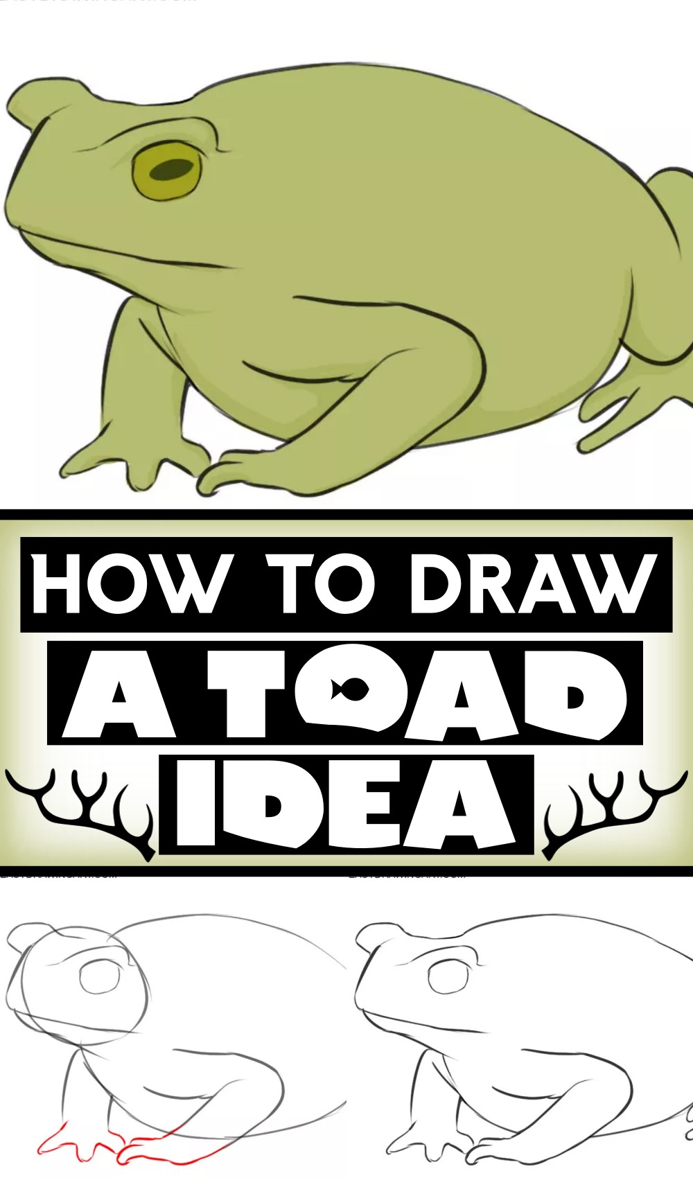 How To Draw A Toad