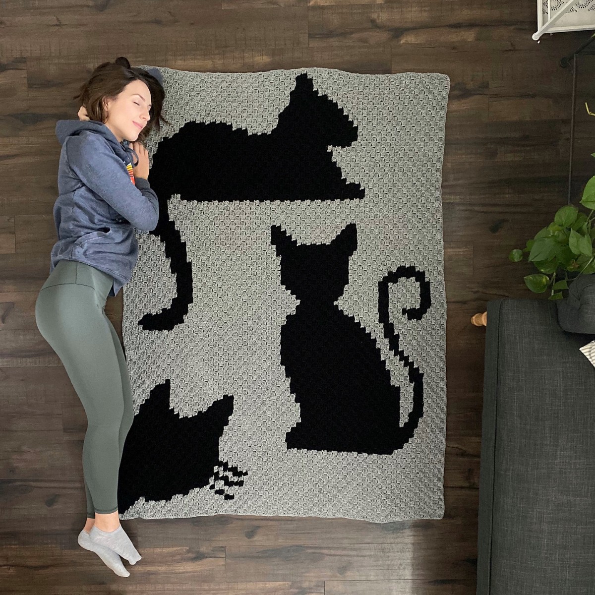 Free Cat Crochet Blanket Patterns