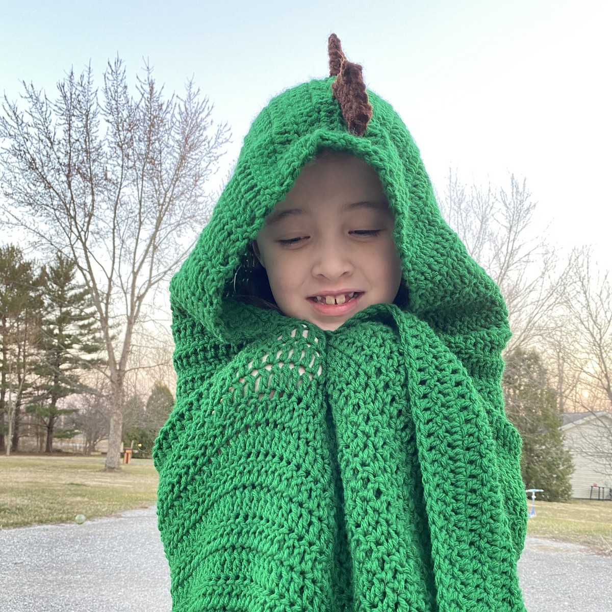 Free Crochet Dinosaur Blanket Patterns