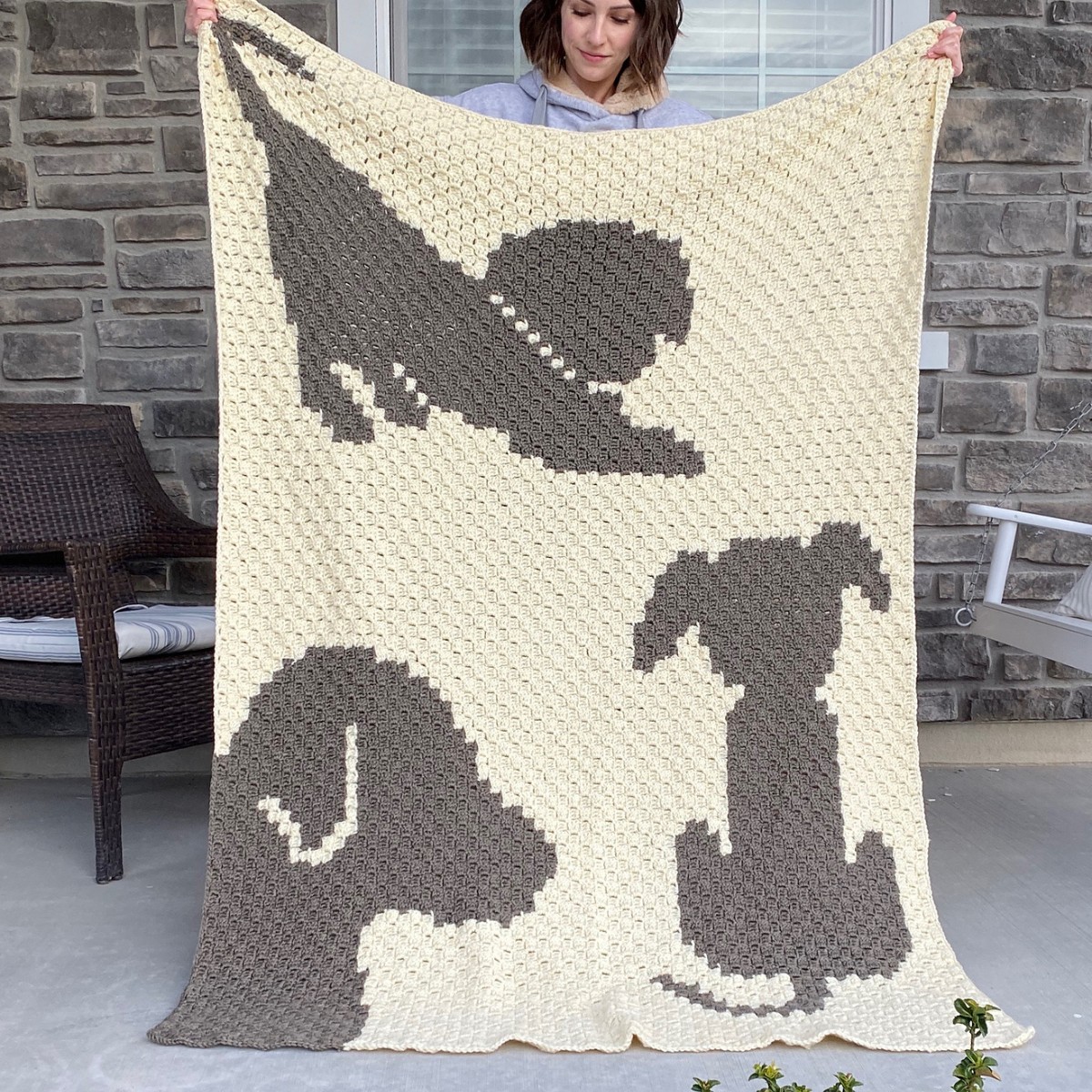 Free Crochet Dog Blanket Patterns