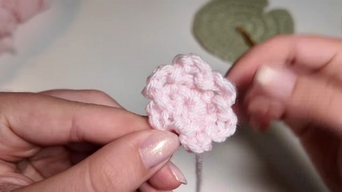 5w