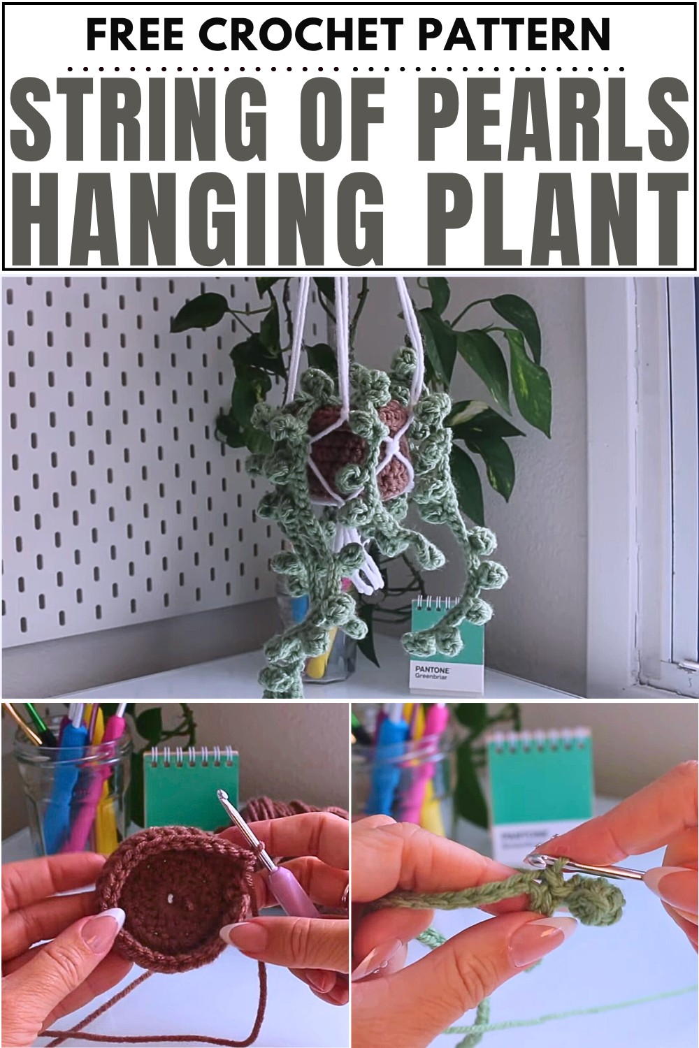 Crochet String Of Pearls Hanging Plant Pattern