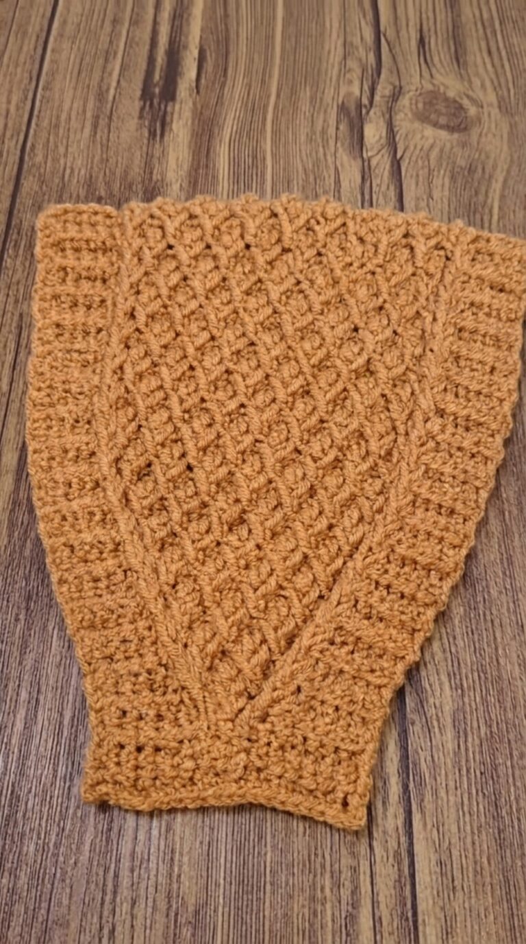 Crochet Headband Pattern 5