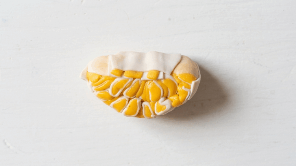Clementines with Polymer Clay 3