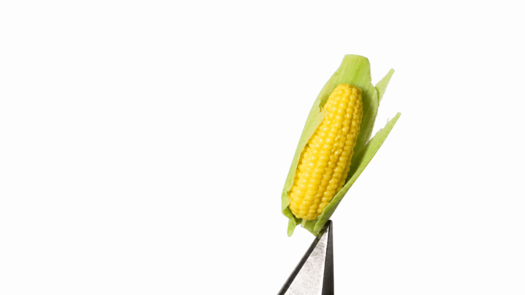 Miniature Corn Cob Clay 5