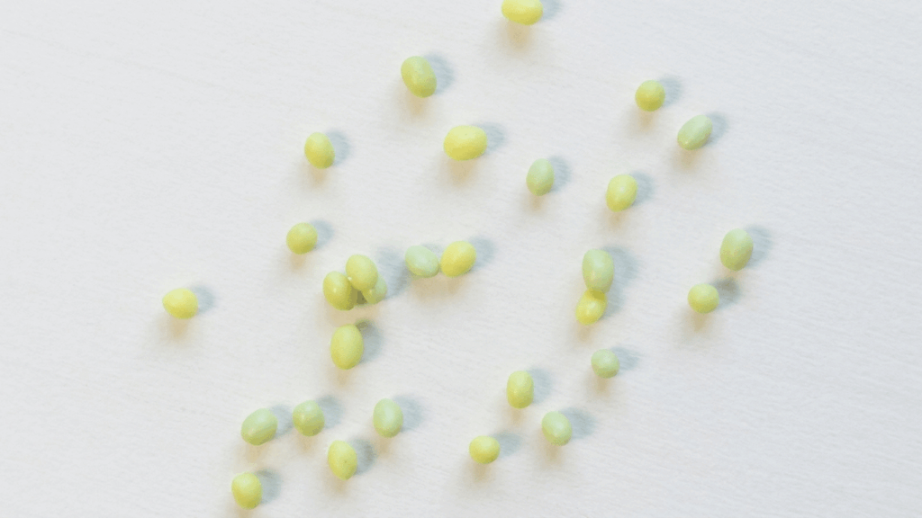 Polymer Clay Grapes 3