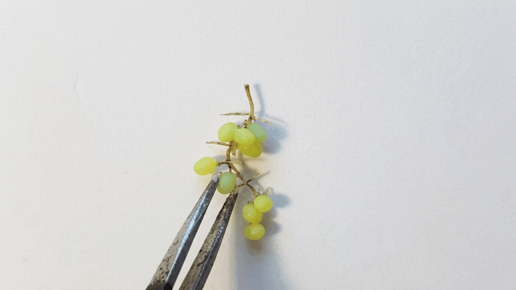 Polymer Clay Grapes 6