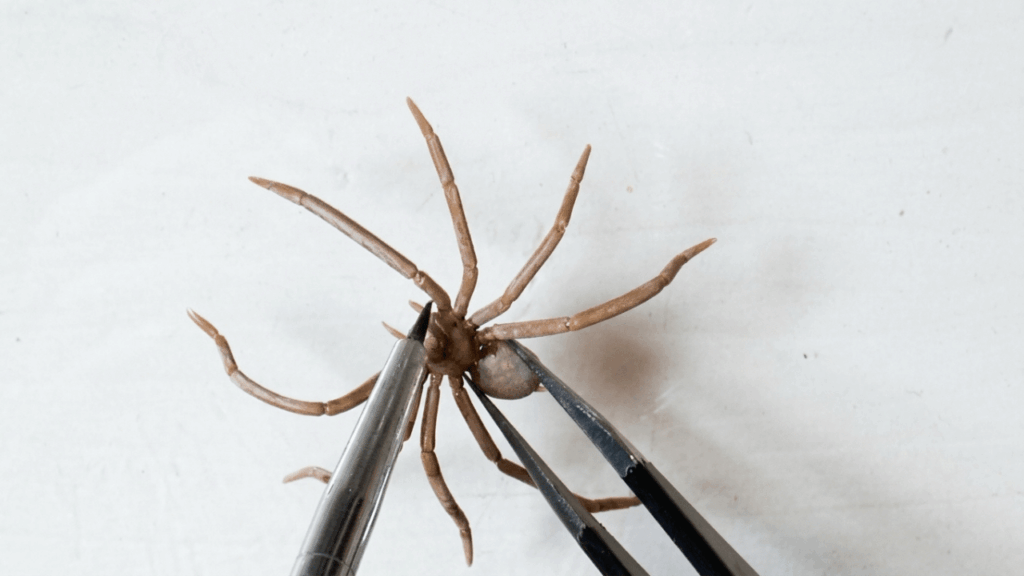 Polymer Clay Spider 4