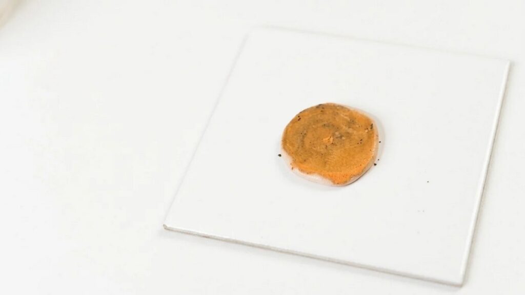Tortoise Shell Polymer Earrings 2